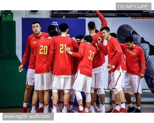 姚明球迷视角下的篮球魅力与中国篮球未来发展展望